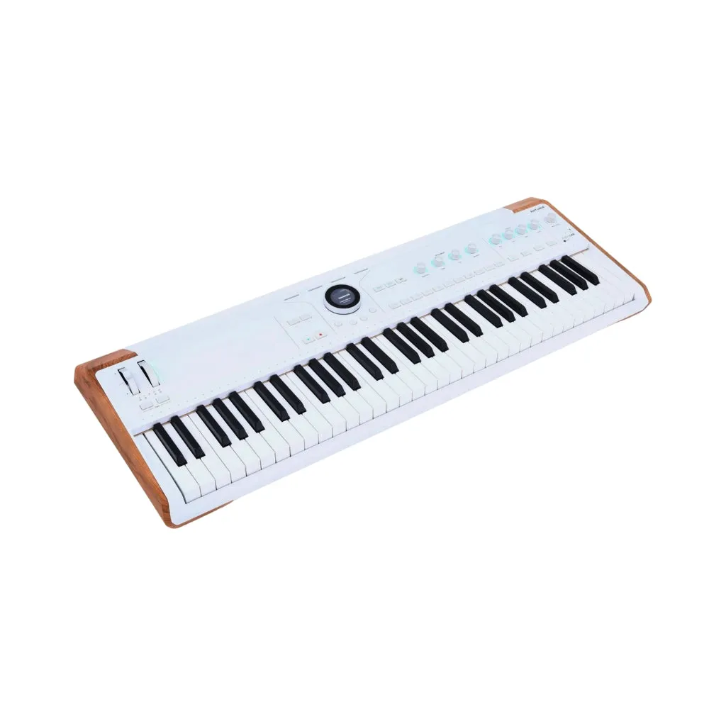 Arturia AstroLab 61-key Stage Keyboard