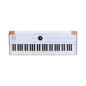 Arturia AstroLab 61-key Stage Keyboard