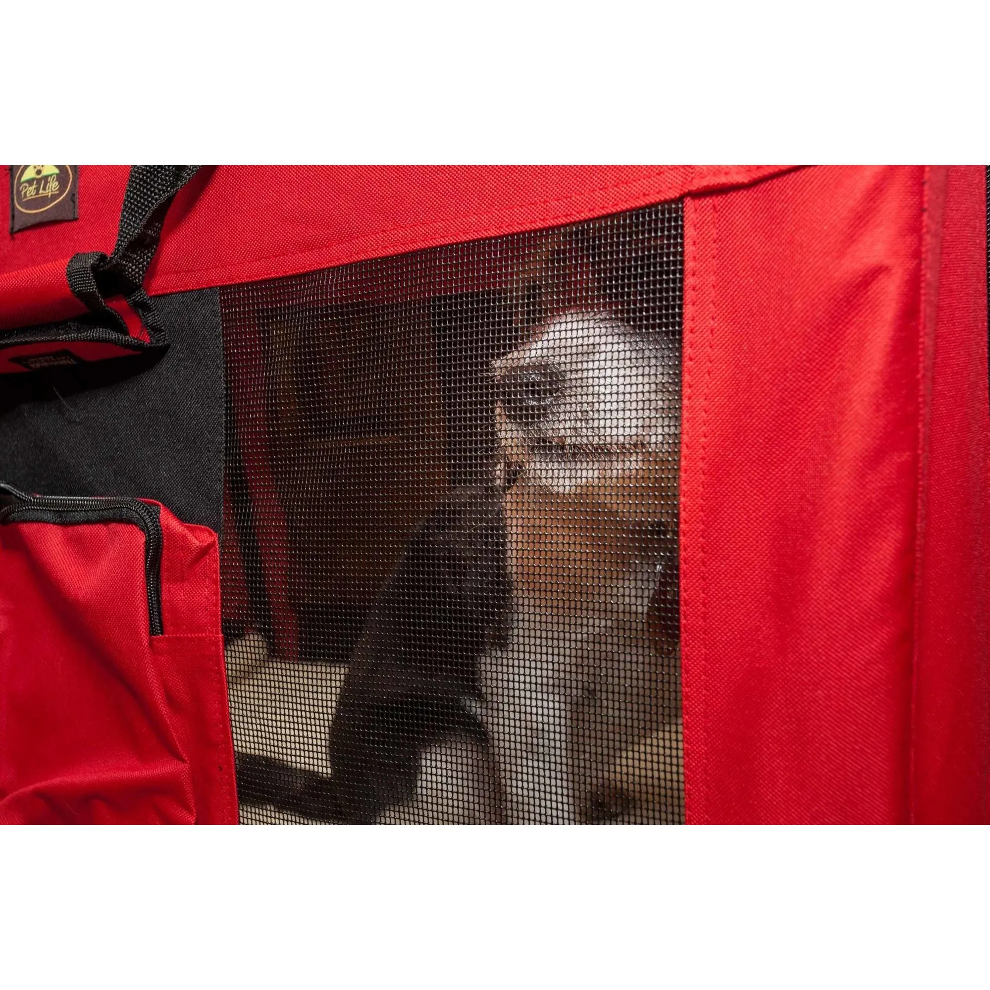 Collapsible Pet Crate Transport