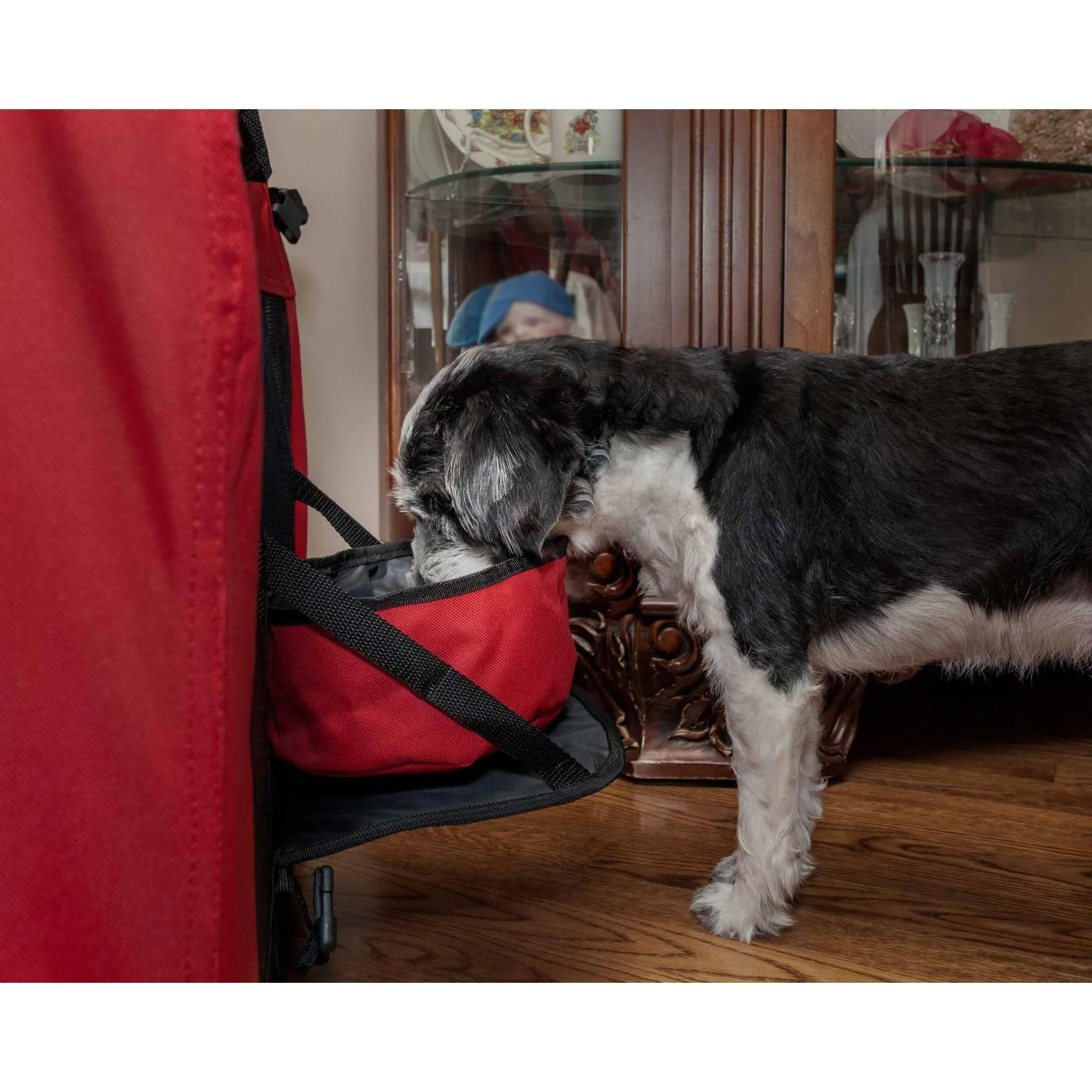 Collapsible Pet Crate Transport