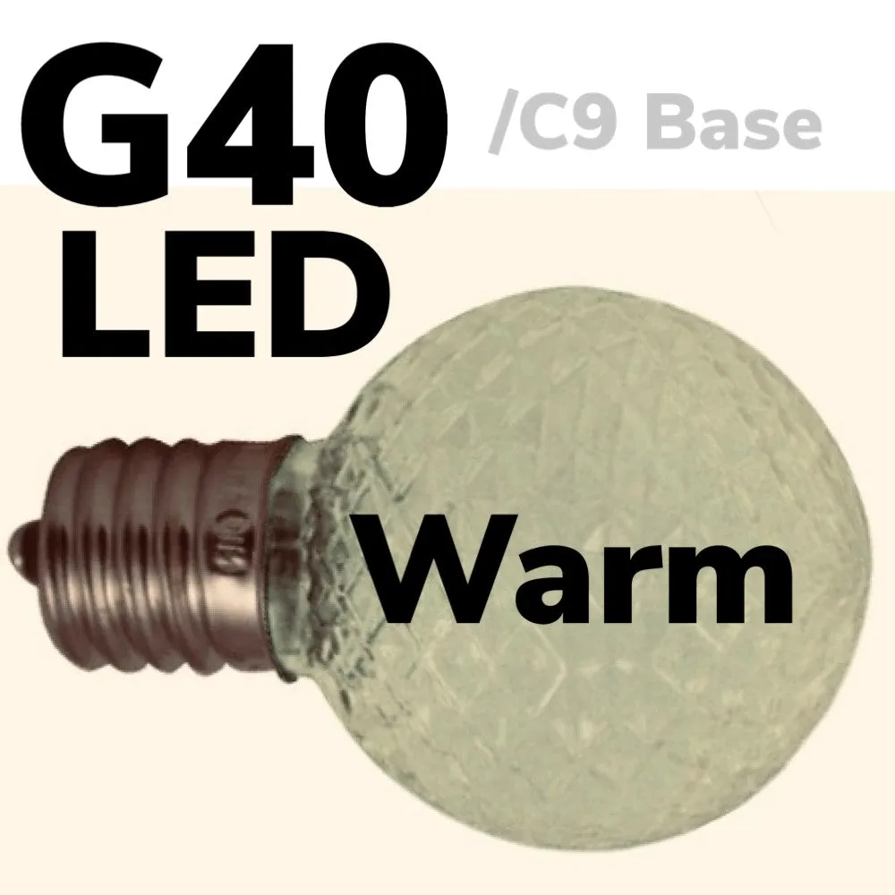 G40 LED Faceted Bulb