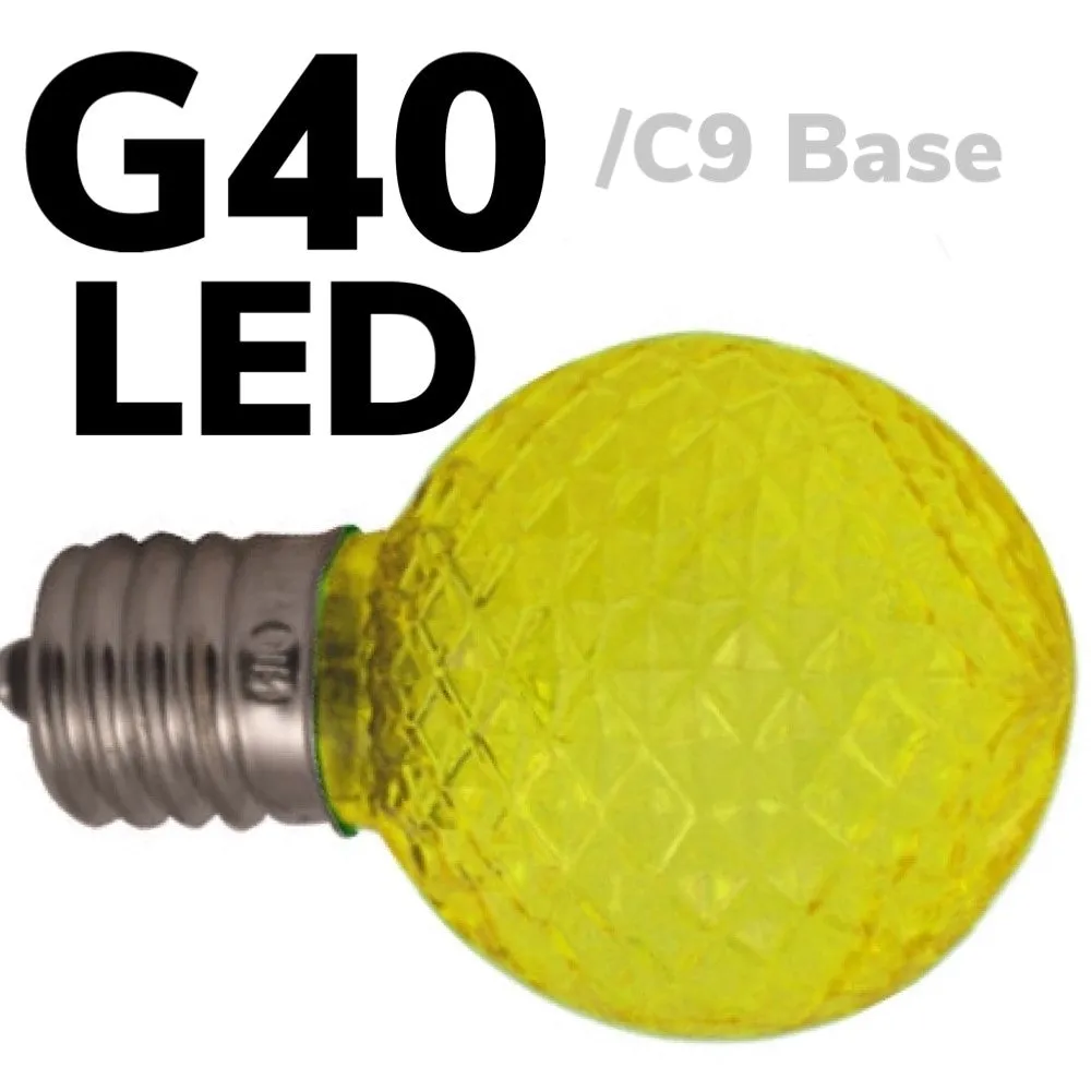 G40 LED Faceted Bulb