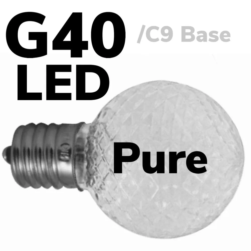 G40 LED Faceted Bulb