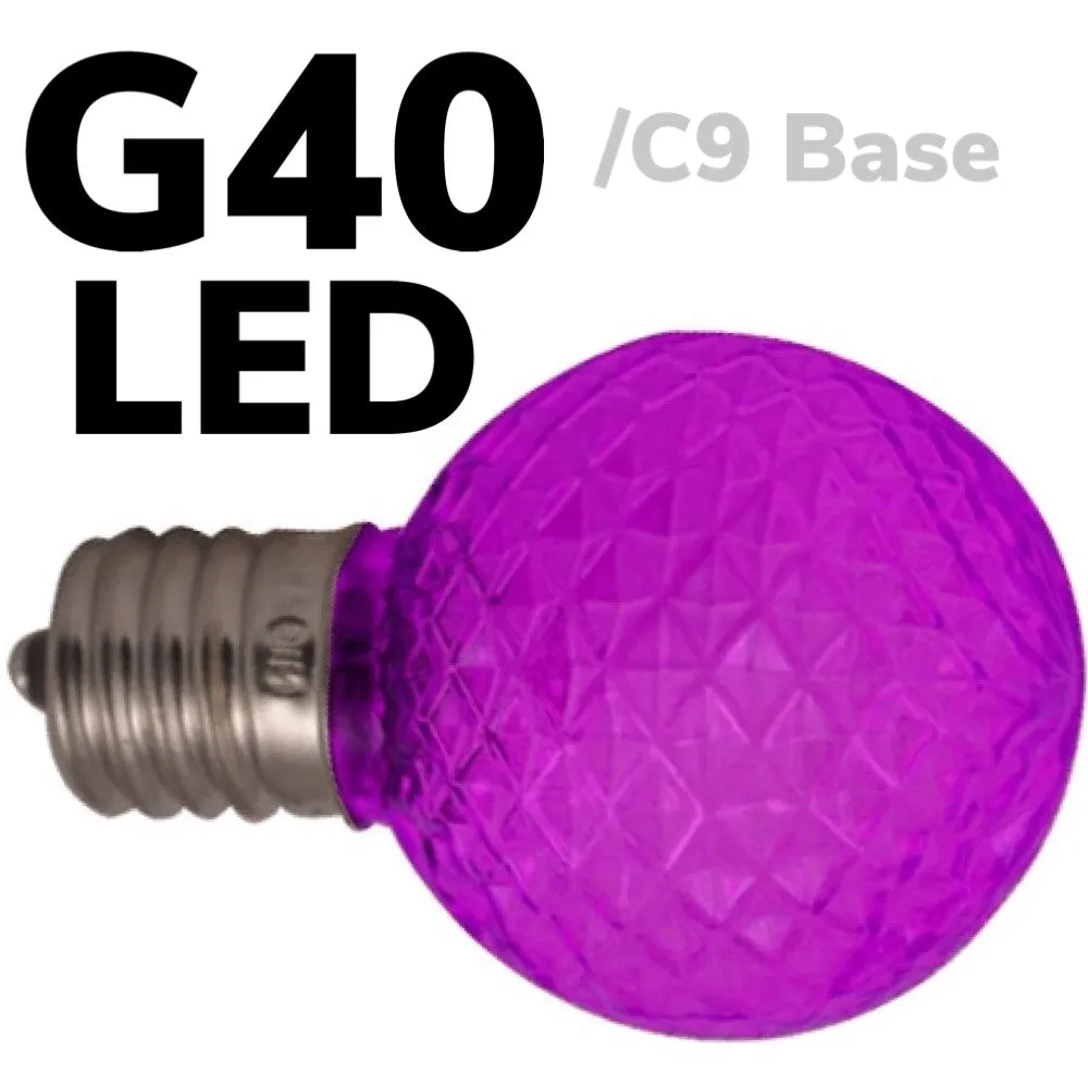 G40 LED Faceted Bulb