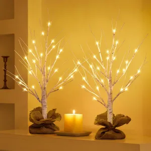Lighted Birch Tree, 2Pack USB Rechargeable Tabletop Tree with Burlap Decor, Timer Function, Pre-Lit Artificial Mini Money Trees with Lights for Spring Summer Home Centerpiece Decor (2FT)