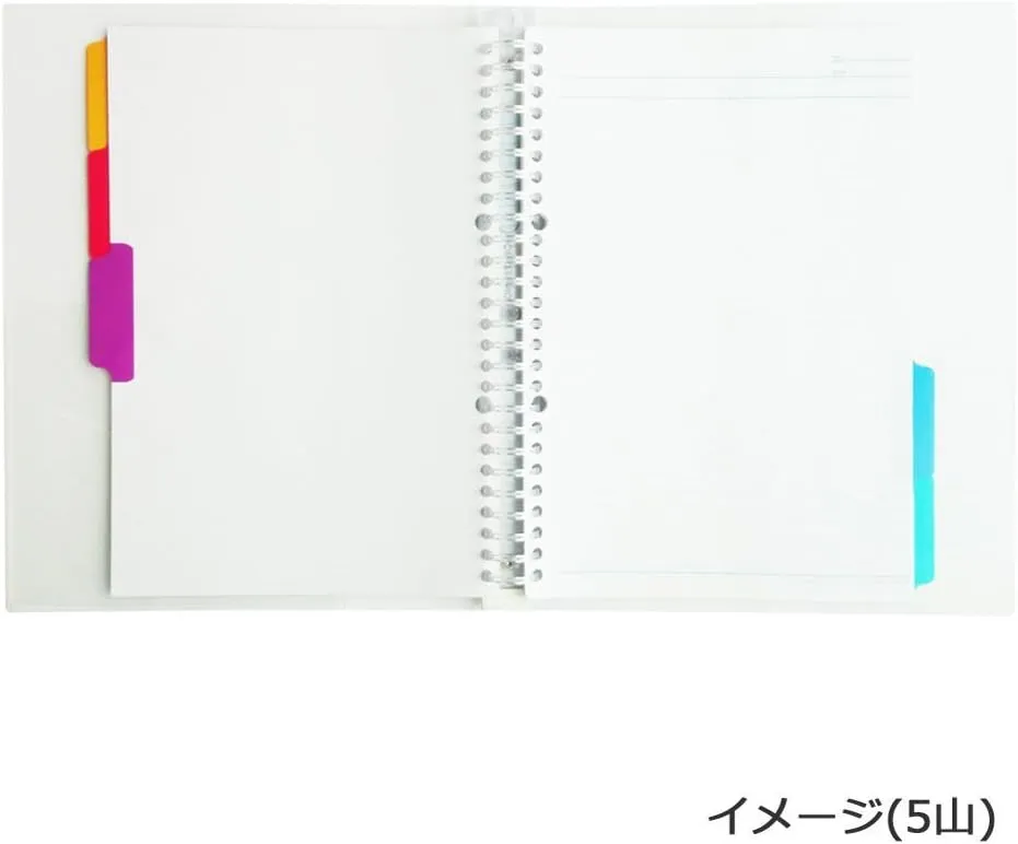 Maruman LT3006F Index A4 Wide, 30 Holes (2 Hole Compatible), Index Sheets, 6 Stacks, 10 Pairs