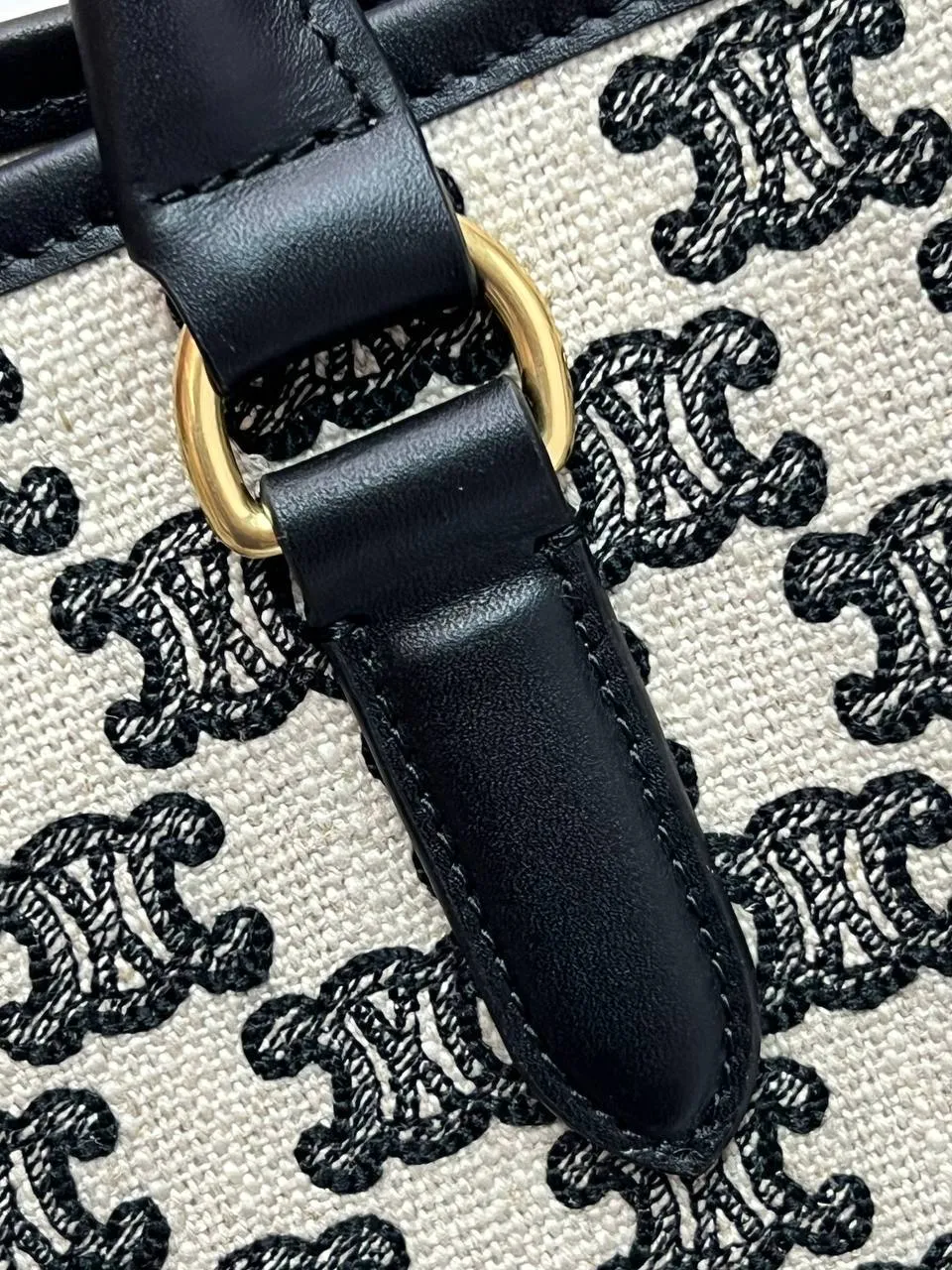 MINI HORIZONTAL CABAS IN TEXTILE WITH TRIOMPHE EMBROIDERY AND CALFSKIN BLACK