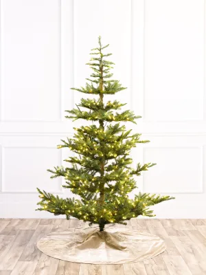 Noble Layered Christmas Tree