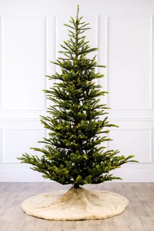 Norwegian Spruce Christmas Tree with 3mm LED