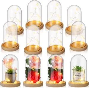 Roowest 12 Pcs Plastic Cloche Dome with Rustic Wood Base and LED Light Plastic Dome Display Case Jar for Wedding Rose Tabletop Centerpiece Decoration