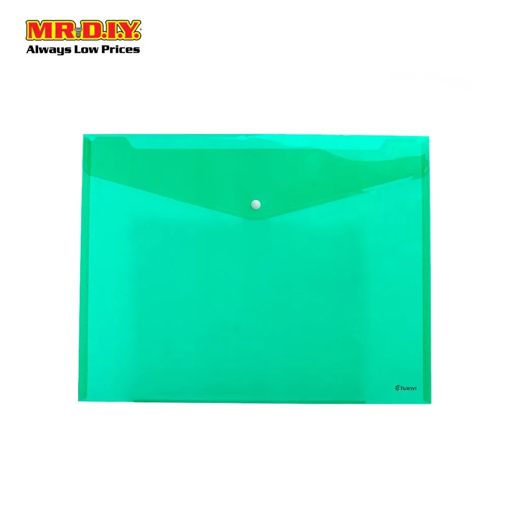 Transparent Document Bag