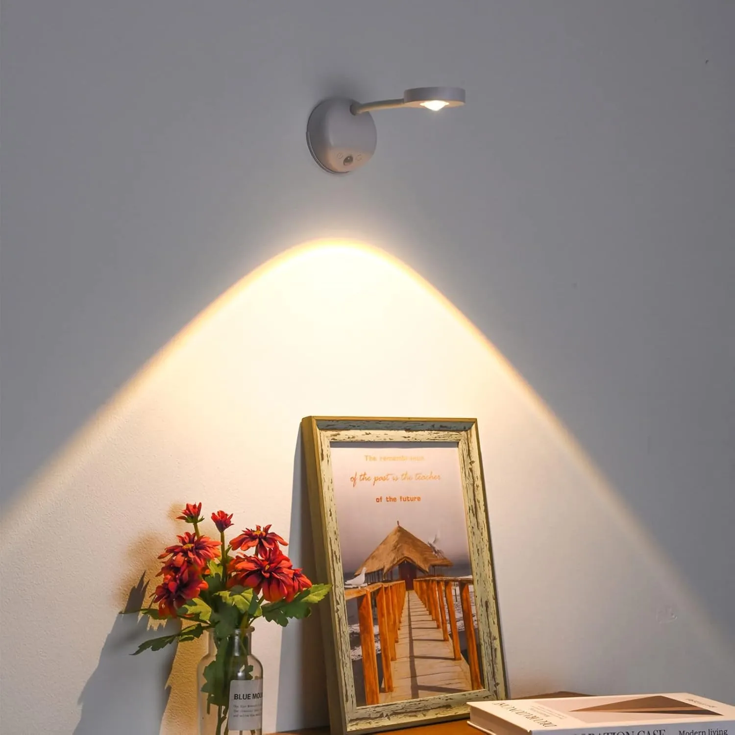 Wireless Picture Light Battery Operated, 2200mAH Rechargeable Painting Light with Motion Sensor and Rotatable Light Tube, Stepless Dimming Art Display Light for Picture Frame